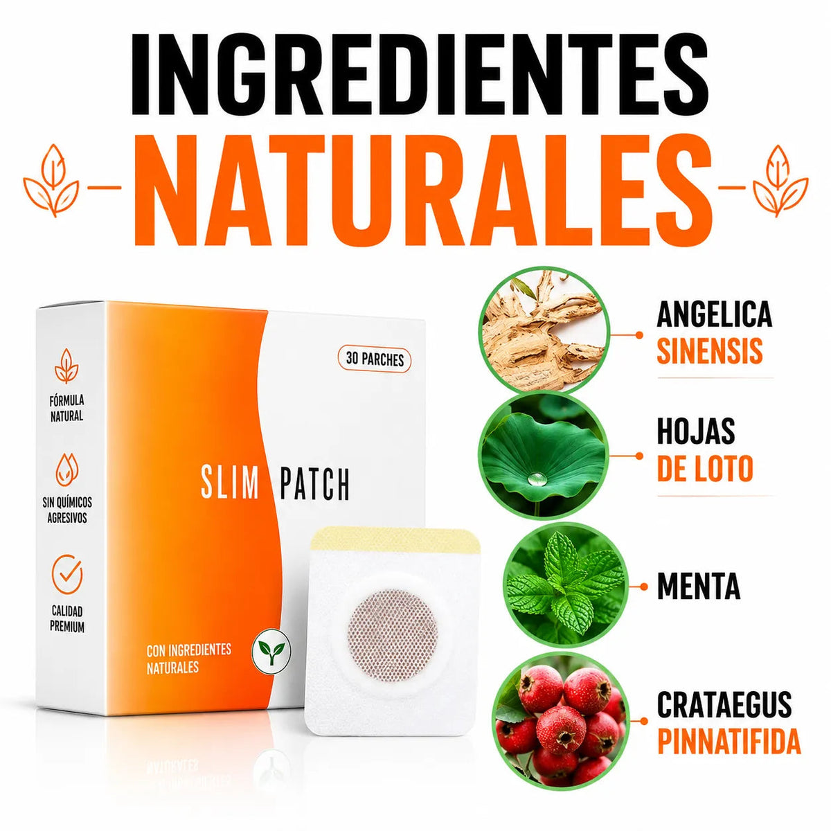 Ingredientes naturales del Slim Patch